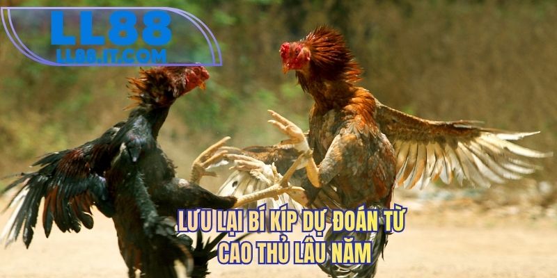 Lưu lại bí kíp dự đoán từ cao thủ lâu năm